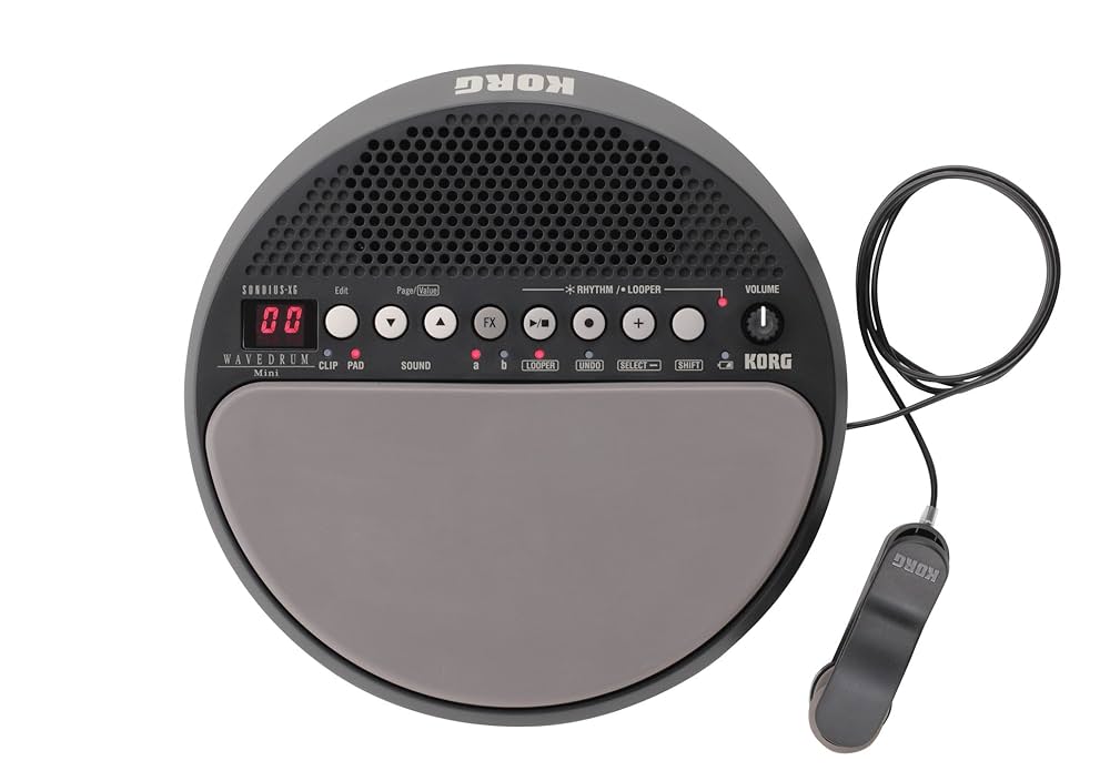 希少 KORG WAVEDRUM Mini 和太鼓 [限定モデル] Korg Wavedrum Mini Dynamic Percussion Synthesizer : Amazon